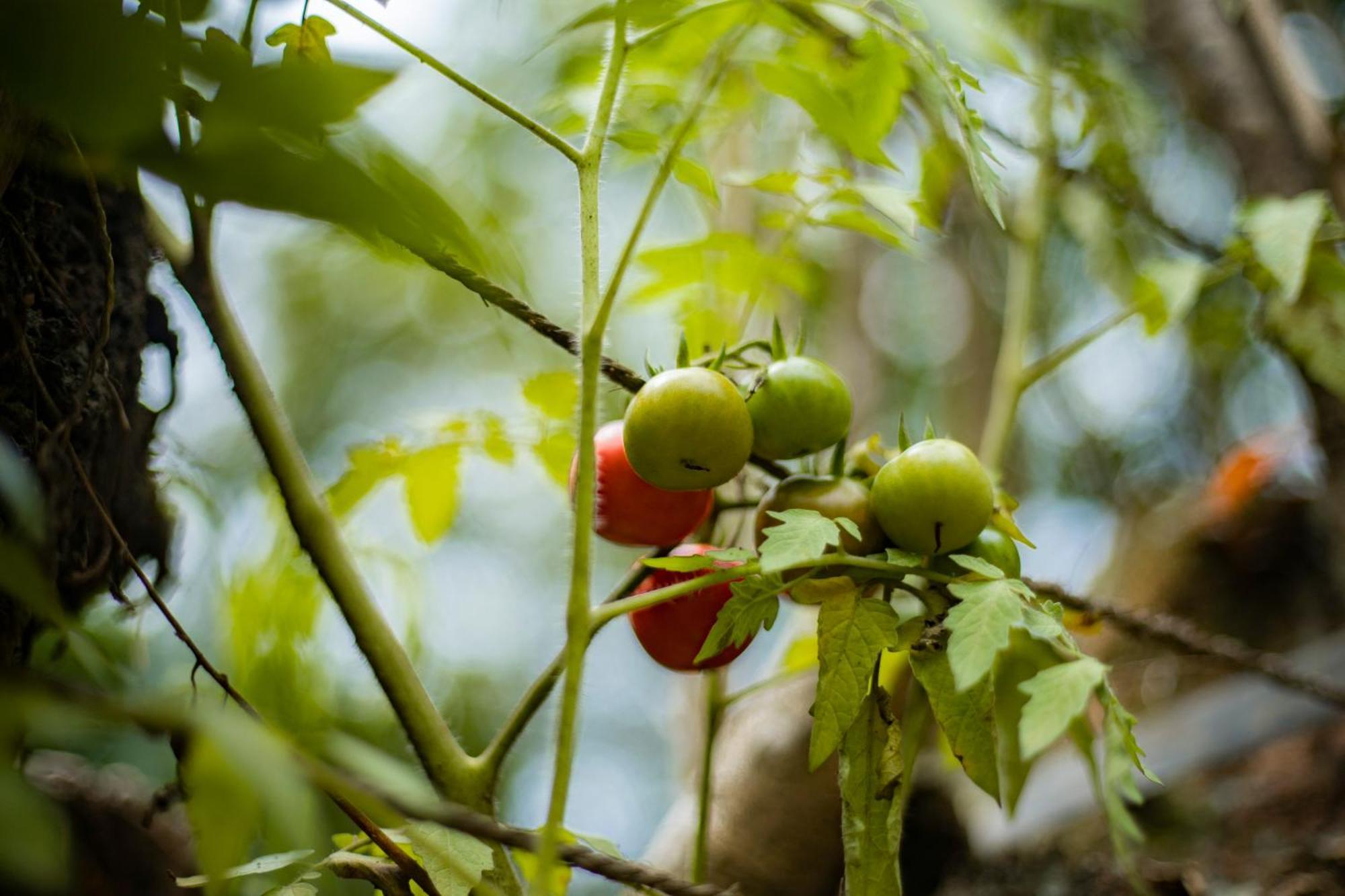 K'Erenda Homet Reserva Natural Πουέρτο Μαλντονάντο Εξωτερικό φωτογραφία